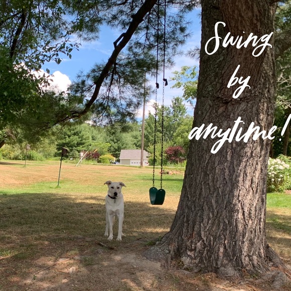 Like Here to Bookmark my Shop (: - Picture 9 of 9